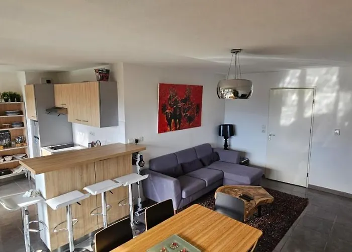 Coeur Toulousain Avec 2 * Toulouse